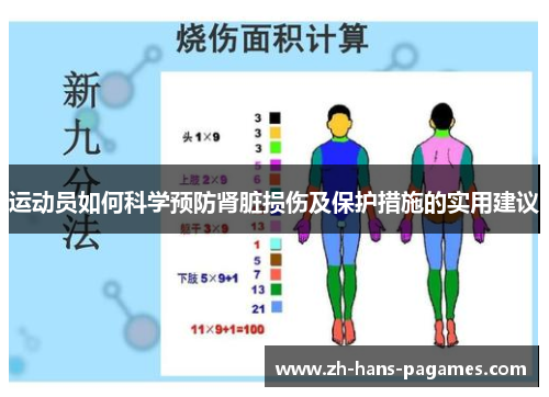 运动员如何科学预防肾脏损伤及保护措施的实用建议 运动员如何科学预防肾脏损伤及保护措施的实用建议