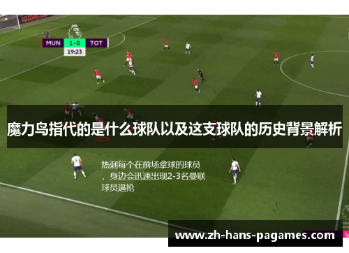 魔力鸟指代的是什么球队以及这支球队的历史背景解析 魔力鸟指代的是什么球队以及这支球队的历史背景解析