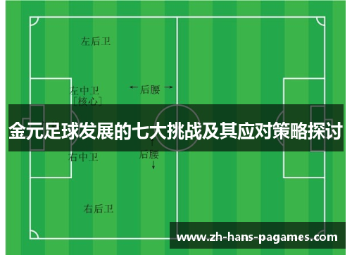 金元足球发展的七大挑战及其应对策略探讨